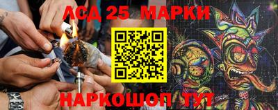 прущие грибы Камышлов