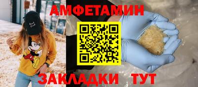прущие грибы Камышлов